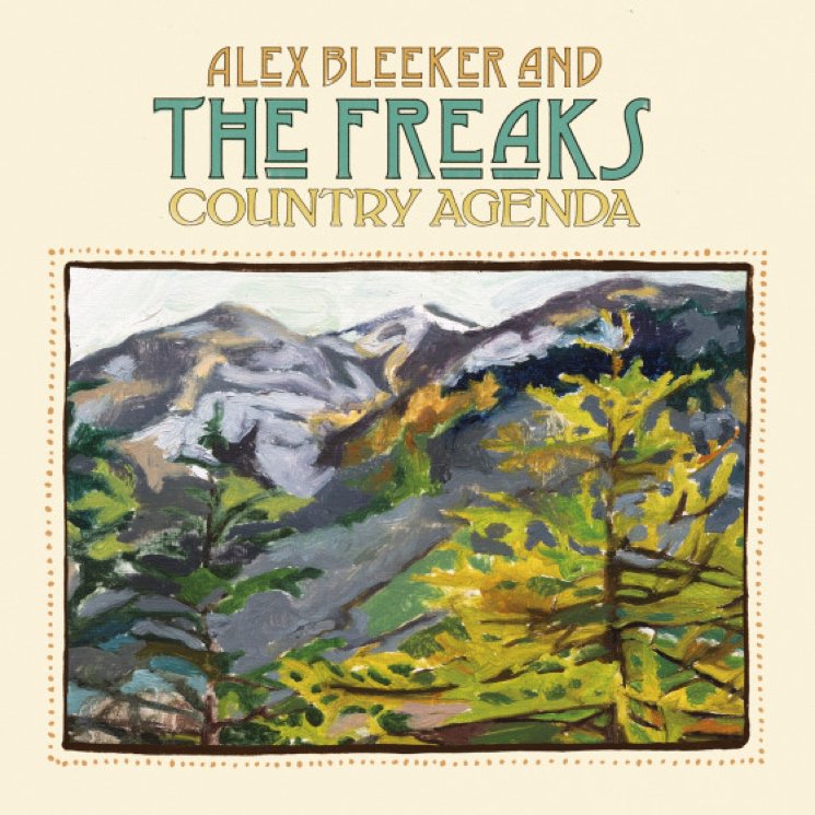 Alex Bleeker And The Freaks Johan 1