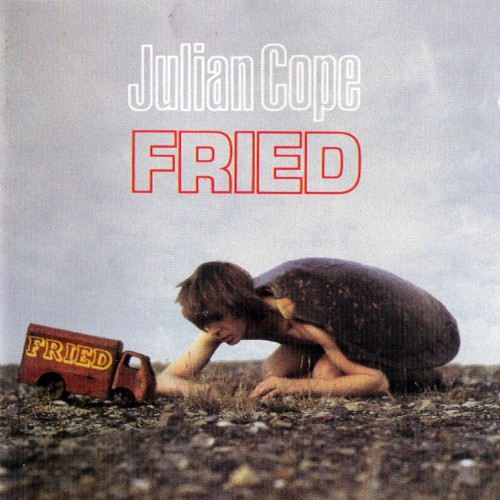 Julian_Cope-Fried