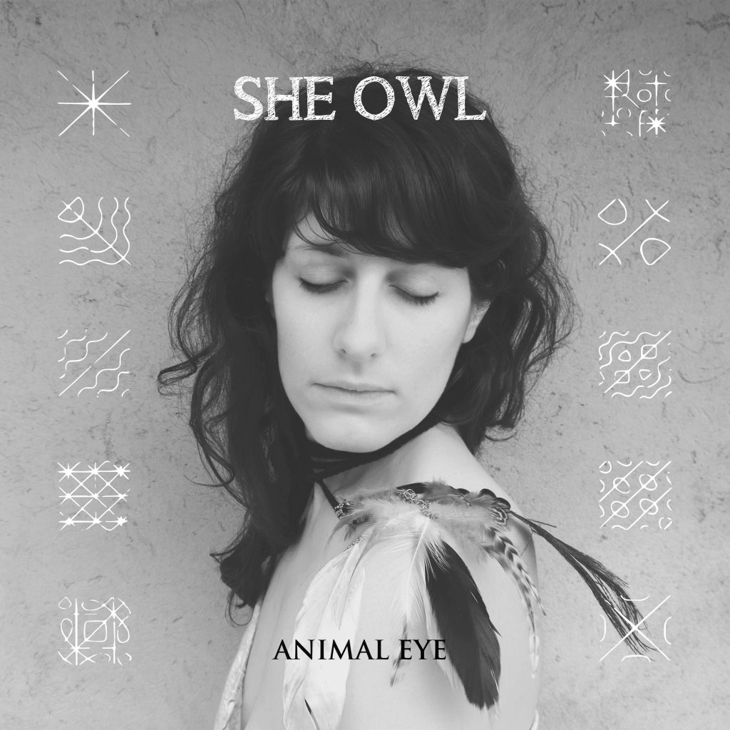 SheOwl-AnimalEye-websize