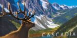 Cascadia