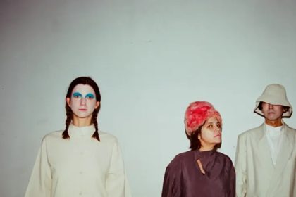 vanishing twin
